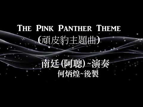 The Pink Panther Theme  頑皮豹~南廷(阿聰)演奏
