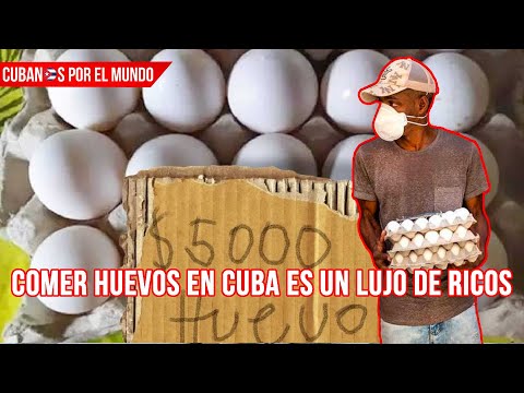 Comer huevos en Cuba es un lujo: cartón cuesta el equivalente a dos salarios mínimos