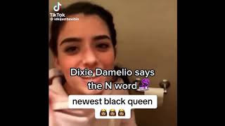 Dixie Damelio saying the N word