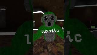 Halloween UPDATE!!!