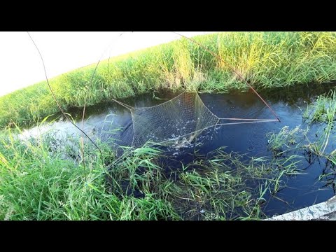 Рыбалка на паук подъёмник, в маленьком ручье. Видно как плавает рыба.