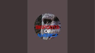 Bigfoots of America is live!