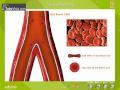 Functions of Blood and Blood Cells