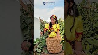 Harvest Festival | International Indian School - Abu Dhabi