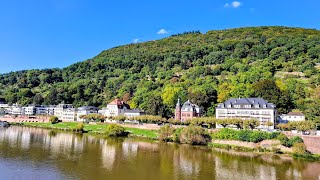 Fruit and Plant Foraging around Philosophers Path Heidelberg