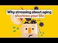 Understanding Aging and Cognition