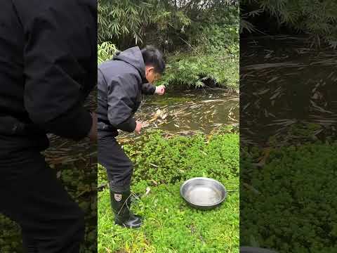 Nouveau et magnifique piège à poissons😰
