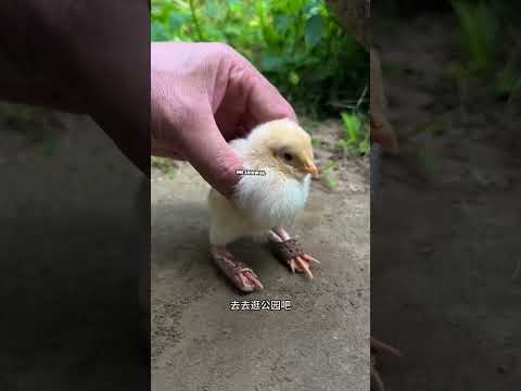 छगन का मजाक 😱