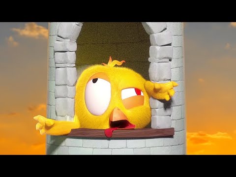 The Chicky Tower | Where's Chicky? | Cartoon Collection in English for Kids | New episodes