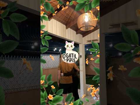 Varal de luzes e lustre novo no Gatil dos Pípis! 🥰 #gatinhosfofos #gateiros #gatil #catio