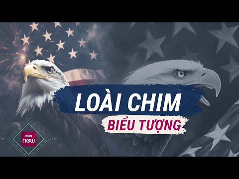 Tổng thống Biden ký luật công nhận đại bàng đầu trắng là loài chim biểu tượng của Mỹ | VTC Now