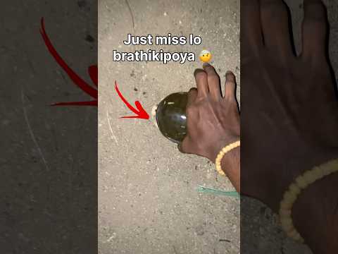 Just miss lo brathikipoya 🤕 #turtle #save #minivlog #funny #shorts