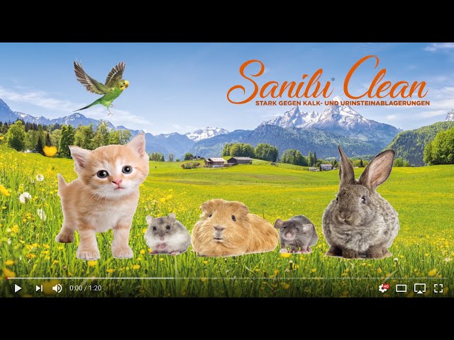 Video Sanilu Clean 1000 ml