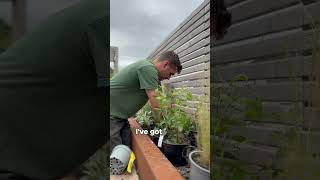 Planting behind the scenes - What’s your favourite part of making a garden?
