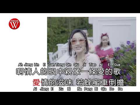 洪荣宏 & 张瀞云- 情人的眼中（福建）