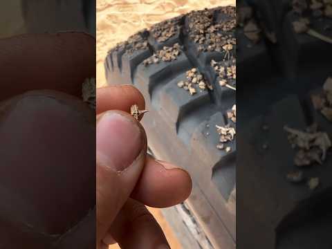 Inilah yang Kalian Temui Jika Berjalan Kaki di Afrika #afrika #africa #kreatif