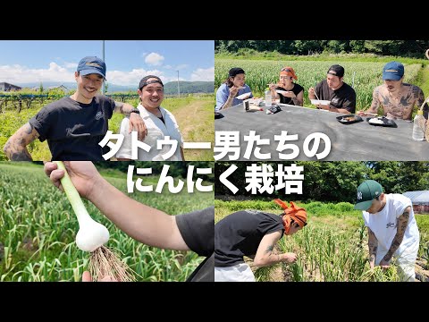 収穫までラストスパート！彫師が本気で畑仕事！