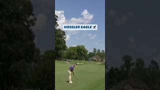 Incredible eagle by Hossler 🦅👏