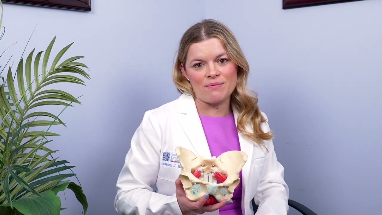Doctor presenting pelvic anatomy model in office.