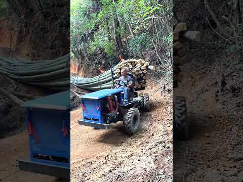 Transportation of Bamboo in mountains 🎍 #shorts #mountains
