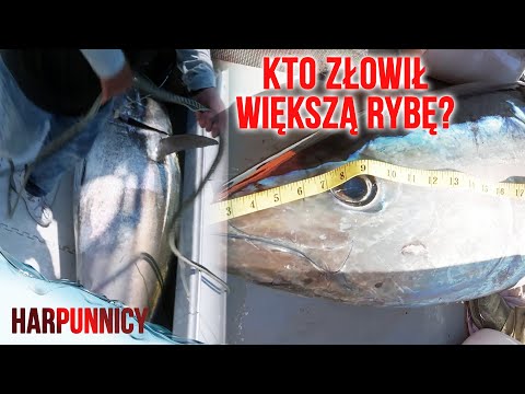 Każdą złowioną rybę od razu przeliczają na pieniądze 🤑🐟 | Harpunnicy