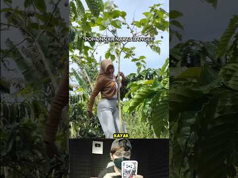 ada sesuatu apaantuh?