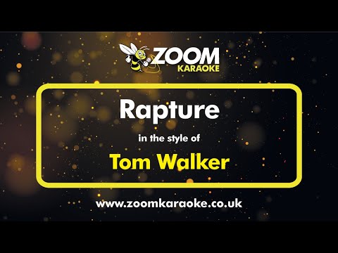 Tom Walker – Rapture – Karaoke Version from Zoom Karaoke