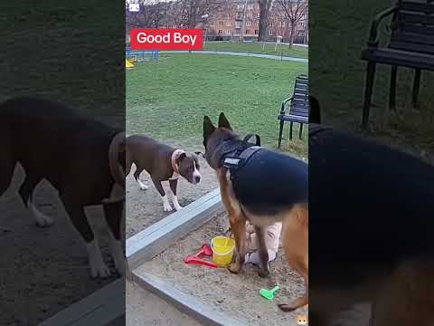 Phillies land All-Star closer Jhoan Duran ahead of MLB trade deadline 👀🔥 #jhoanduran