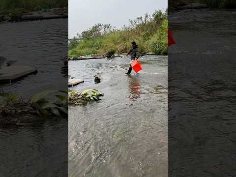 Amazing sink hole #fishing #freshwater #fish