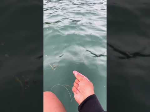 sensasi mancing handline bikin ketagihan