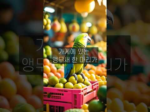 앵무새가 아줌마에게 자꾸 말읅 건다