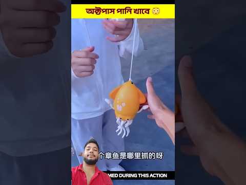 দেখুন কি অদ্ভুত প্রাণী 😮 #ytshorts #youtuber #facts #youtube #youtubeshorts #ytshort #foryou