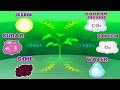 Plant Functions and Photosynthesis Concepts