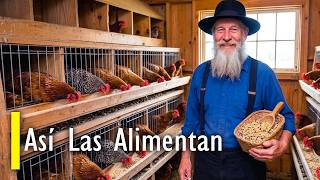Siembra Una Vez, Come Para Siempre: ¿Por Qué se Mantiene en Secreto este Superalimento Amish?