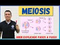 Cuestionario sobre la Meiosis