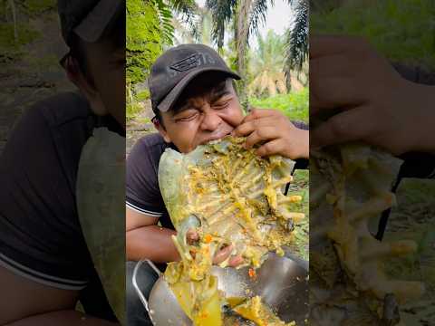 Wow tempurung bulus monster enak