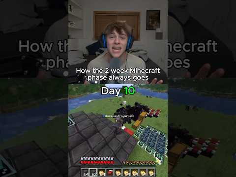 How the 2 week Minecraft phase always goes: