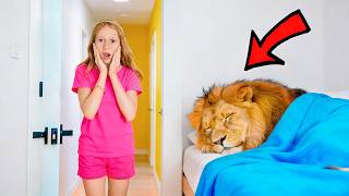 Nastya y amigas con animales de juguete aventura