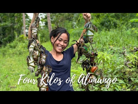 Native way of cooking a Mud Crab "Nilubihang Alimango" cooking in my new kitchen (Mukbang) Bohol