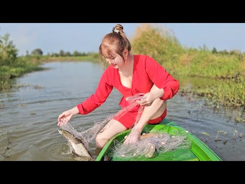 Giăng bẫy bắt cá bằng lưới 3 màng săn dính đầy khoang xuồng TNTP | Wild Beauty