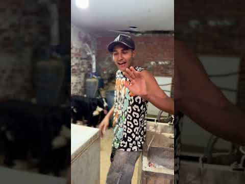 اي رايكو في الفكره العبيطه دي 😂 نكمل ولا لا بصراحه 😉