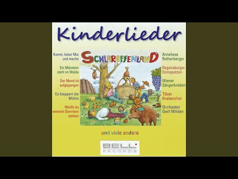Weit du wieviel Sternlein stehen?