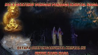 BERTEMUNYA MR.X DENGAN PENJAGA KRISTAL NAGA BERITAHU BETAPA PENTINGNYA KRISTAL NAGA