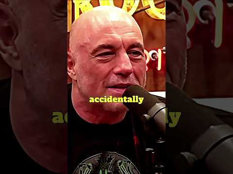 The Time Joe Rogan's Dog Caused an Absolute DISASTER