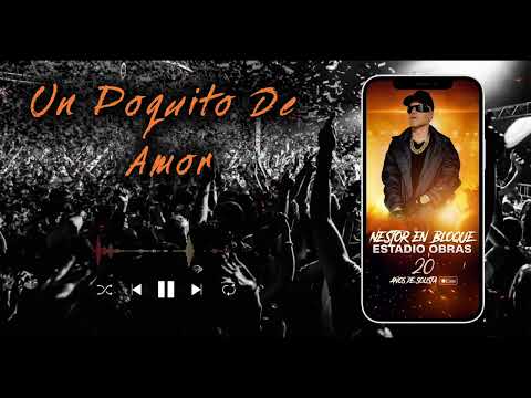 Nestor En Bloque - Estadio Obras: 20 Años de Solista (Live) - Un Poquito de Amor (Visualizer)