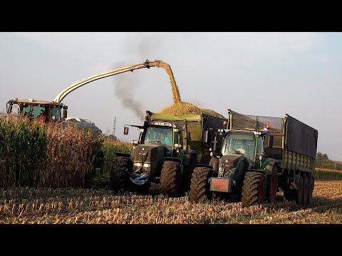 CLAAS JAGUAR 990 Terratrac | T.G Agrar | Mais silage | maisernte | Fendt power | BIG machines | 4K