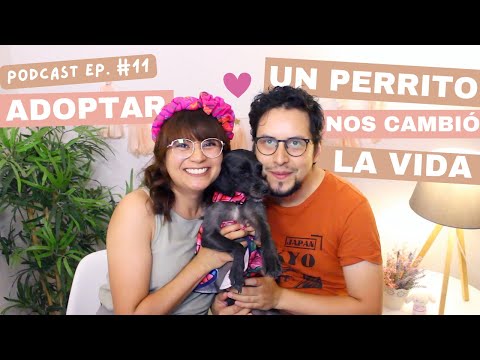 ADOPTAR UN PERRITO NOS CAMBIÓ LA VIDA | EP.11