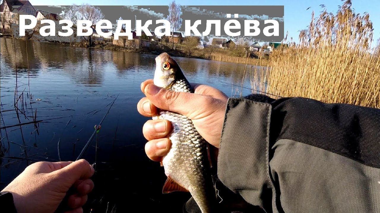 Разведка клёва на трёх озёрах. Поплавочная рыбалка