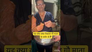 Rumenotomy l dr Umar Khan