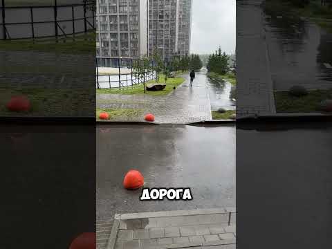 How to train your dog. Как тренировать свою собаку, если вам нужен тренер обращайтесь oleg_o_sobakah